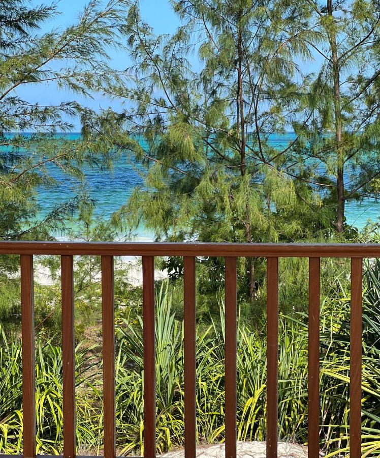 Kivuli Beach Resort Paje Buitenkant foto