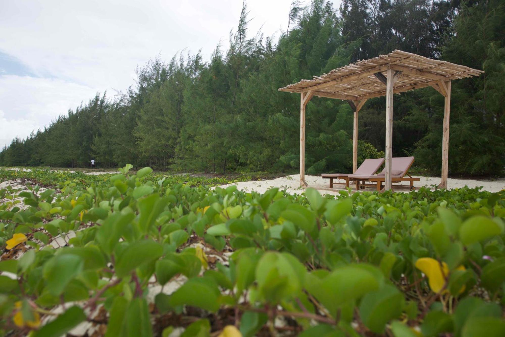 Kivuli Beach Resort Paje Buitenkant foto